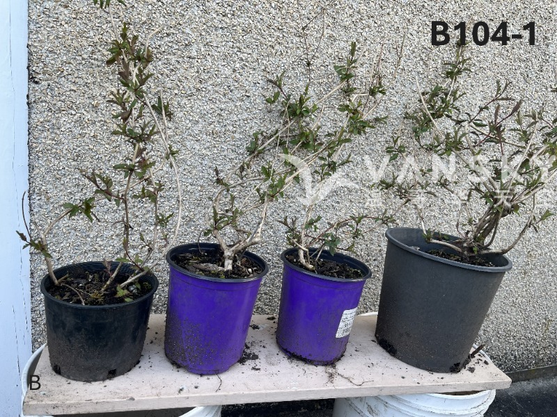 260224235134_B104-1 18-1 - 25-04.JPG